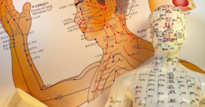 Meridians-in-Body