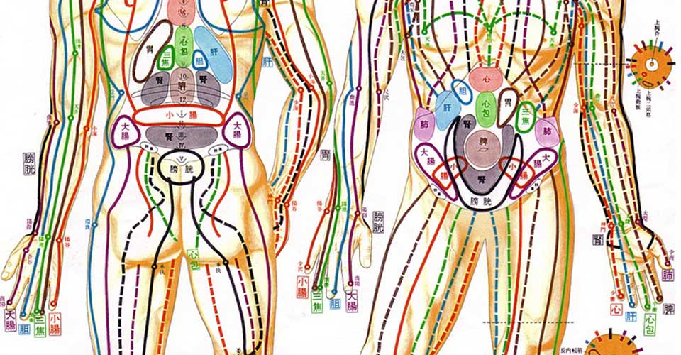 Meridians-in-Body