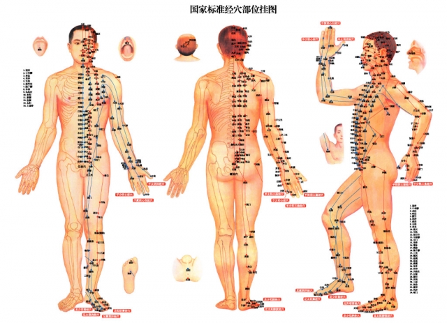 Meridians-in-Body