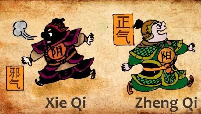 Zheng-Qi