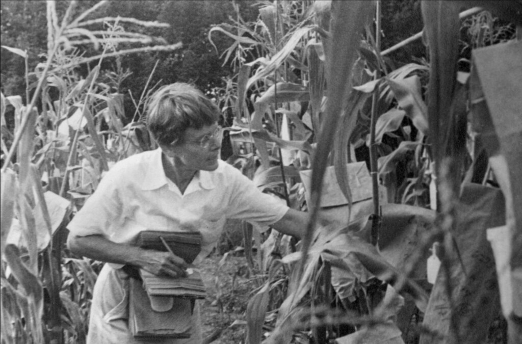 barbara-mcclintock