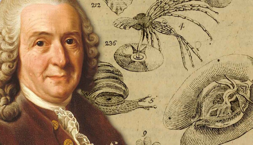 carl-linnaeus