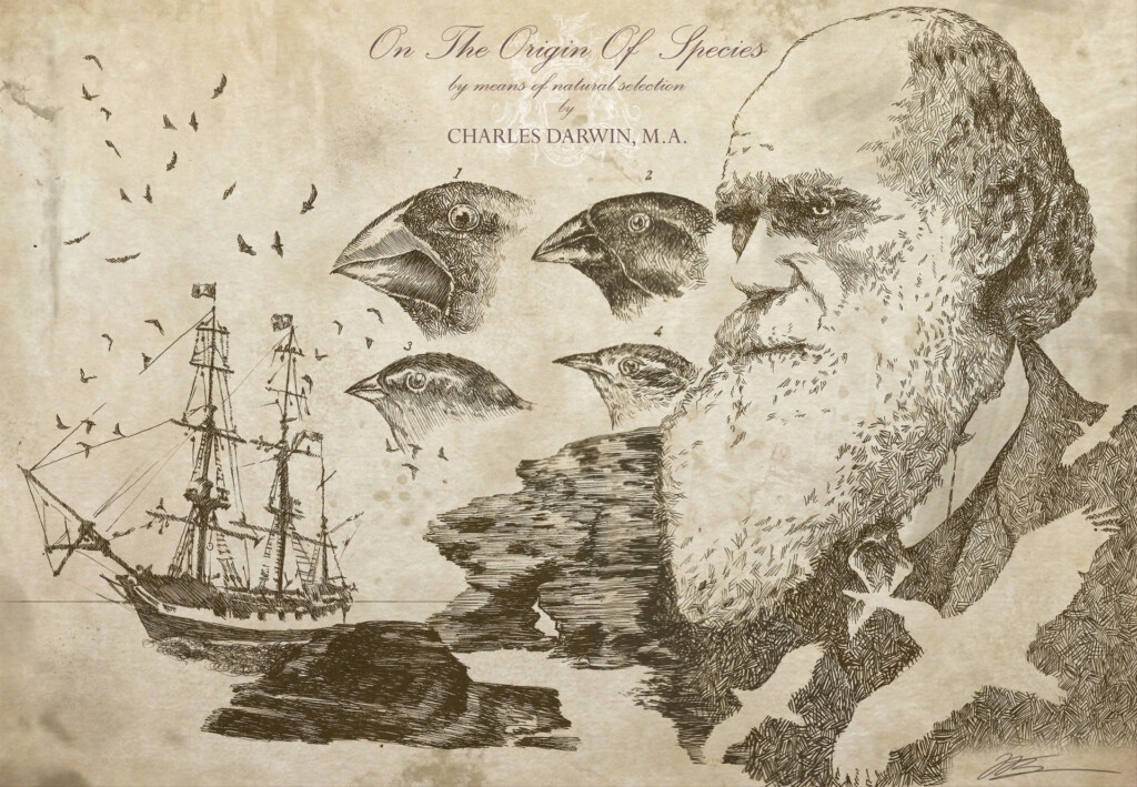 the-origin-of-species