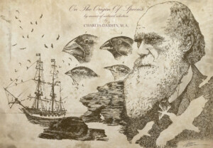 the-origin-of-species