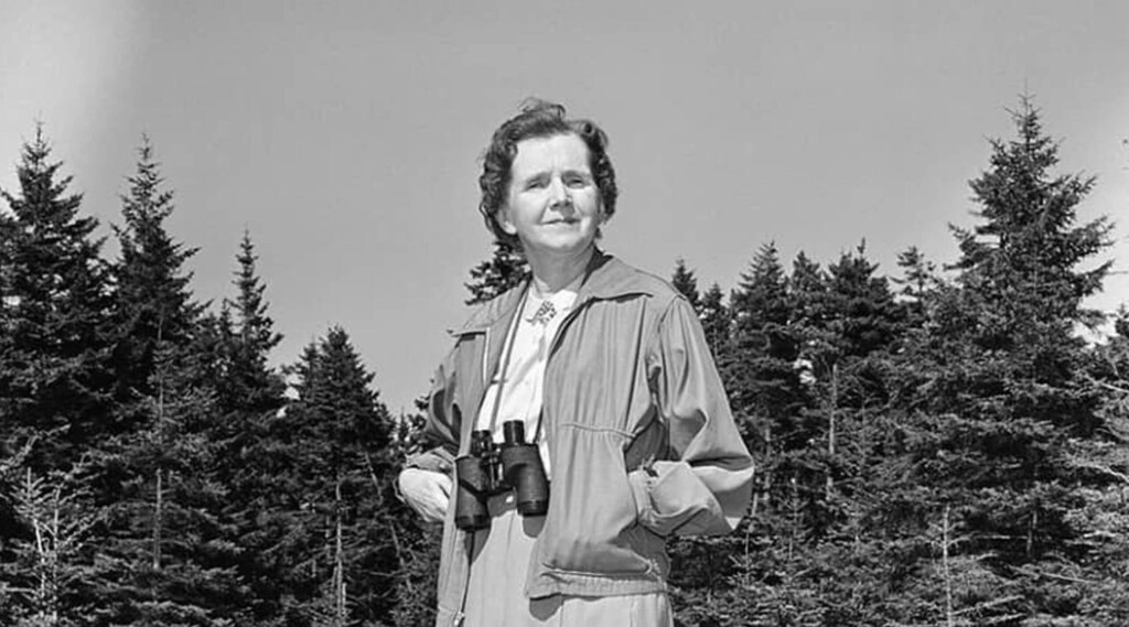 rachel-carson