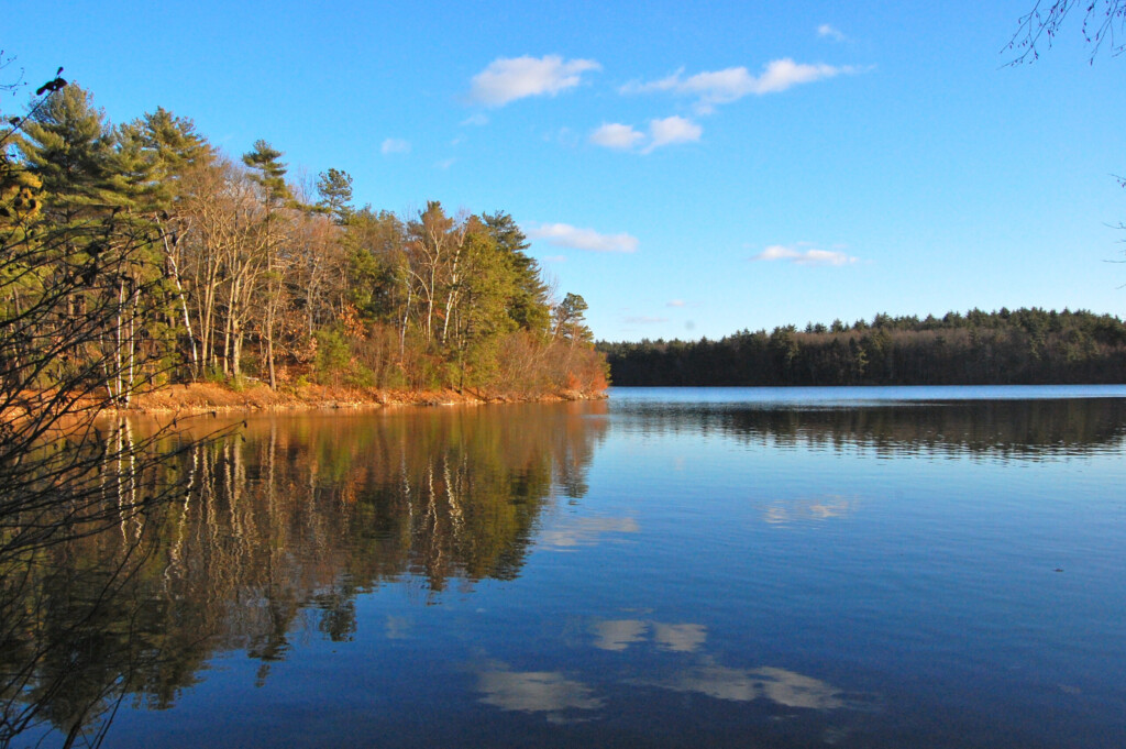 thoreaus-walden