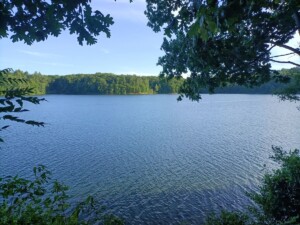 thoreaus-walden