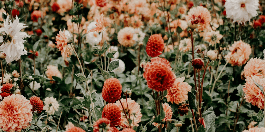 botany