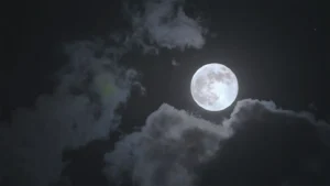 tales-of-moonlight-and-rain