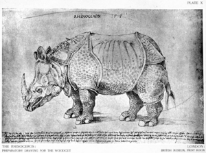 Albrecht-Dürer