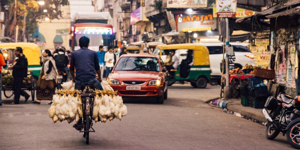 calcutta-in-indian-literature