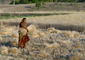 colonial India women