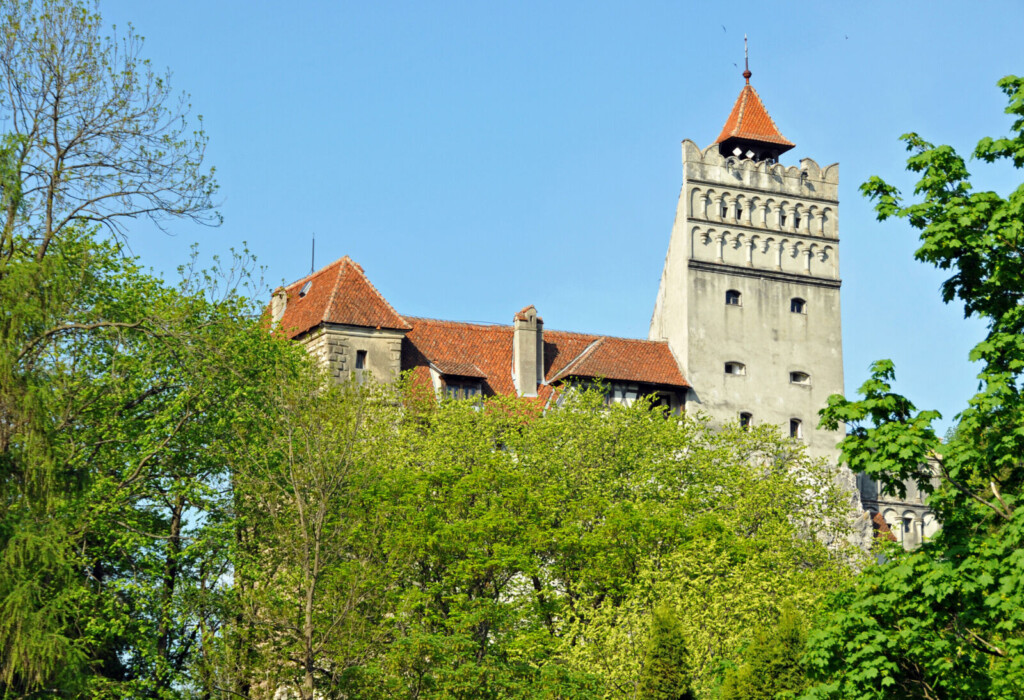 Dracula vampire culture