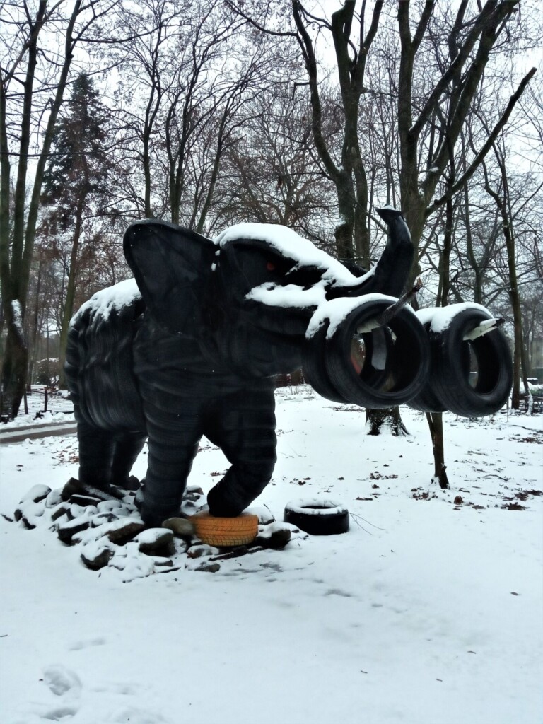 Ecology in Contemporary Art