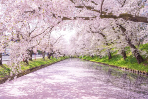 japanese-aesthetics