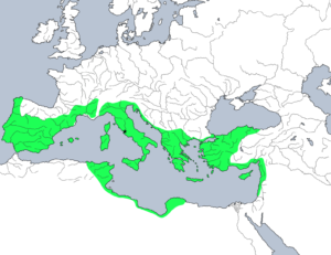 Roman-Republic
