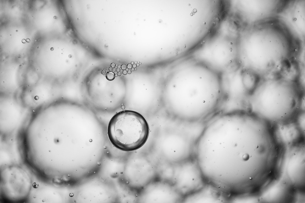 stem cell ethics
