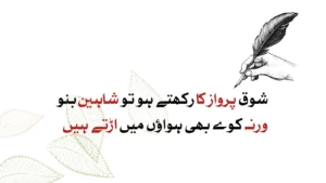urdu-poetry
