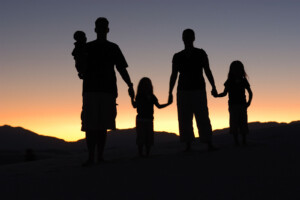dysfunctional-families