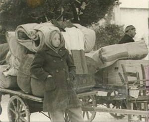 Istrian-exodus