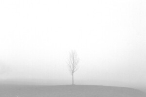 minimalist-cinema