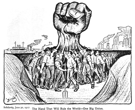 social solidarity