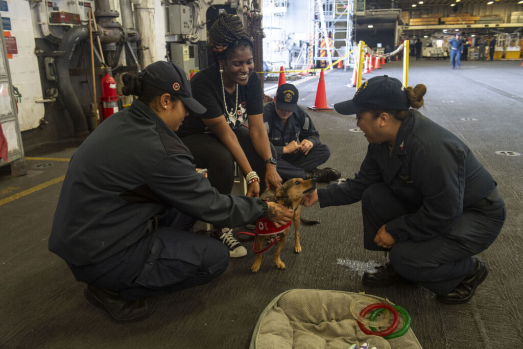 USS-America-(LHA-6)-Visited-by-the-American-Red-Cross-Emotional-Support-Dogs-(8723030)